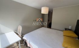 GUANACO NORTE / HUECHURABA