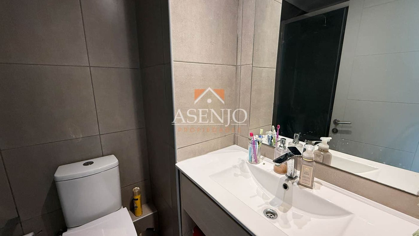 GUANACO NORTE / HUECHURABA