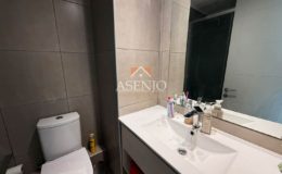 GUANACO NORTE / HUECHURABA