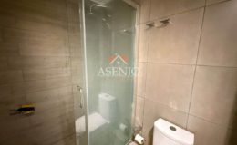 GUANACO NORTE / HUECHURABA