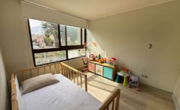 GUANACO NORTE / HUECHURABA