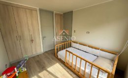 GUANACO NORTE / HUECHURABA