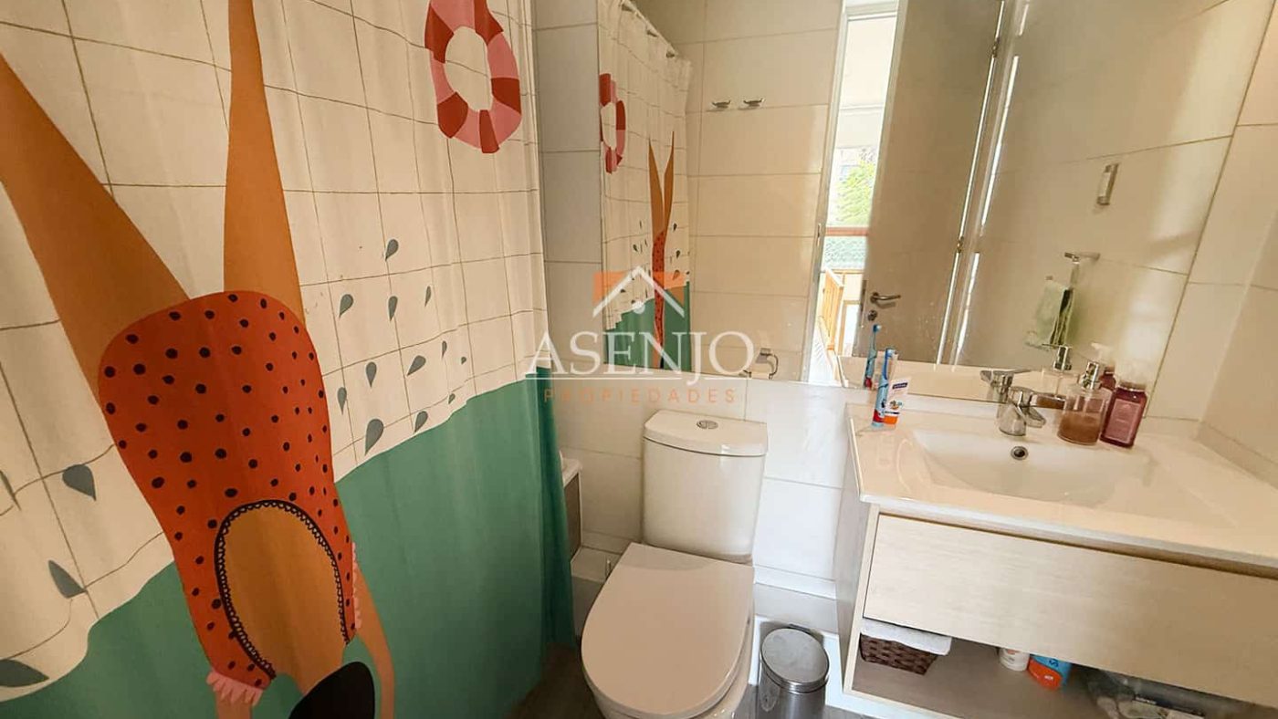 GUANACO NORTE / HUECHURABA