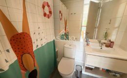 GUANACO NORTE / HUECHURABA