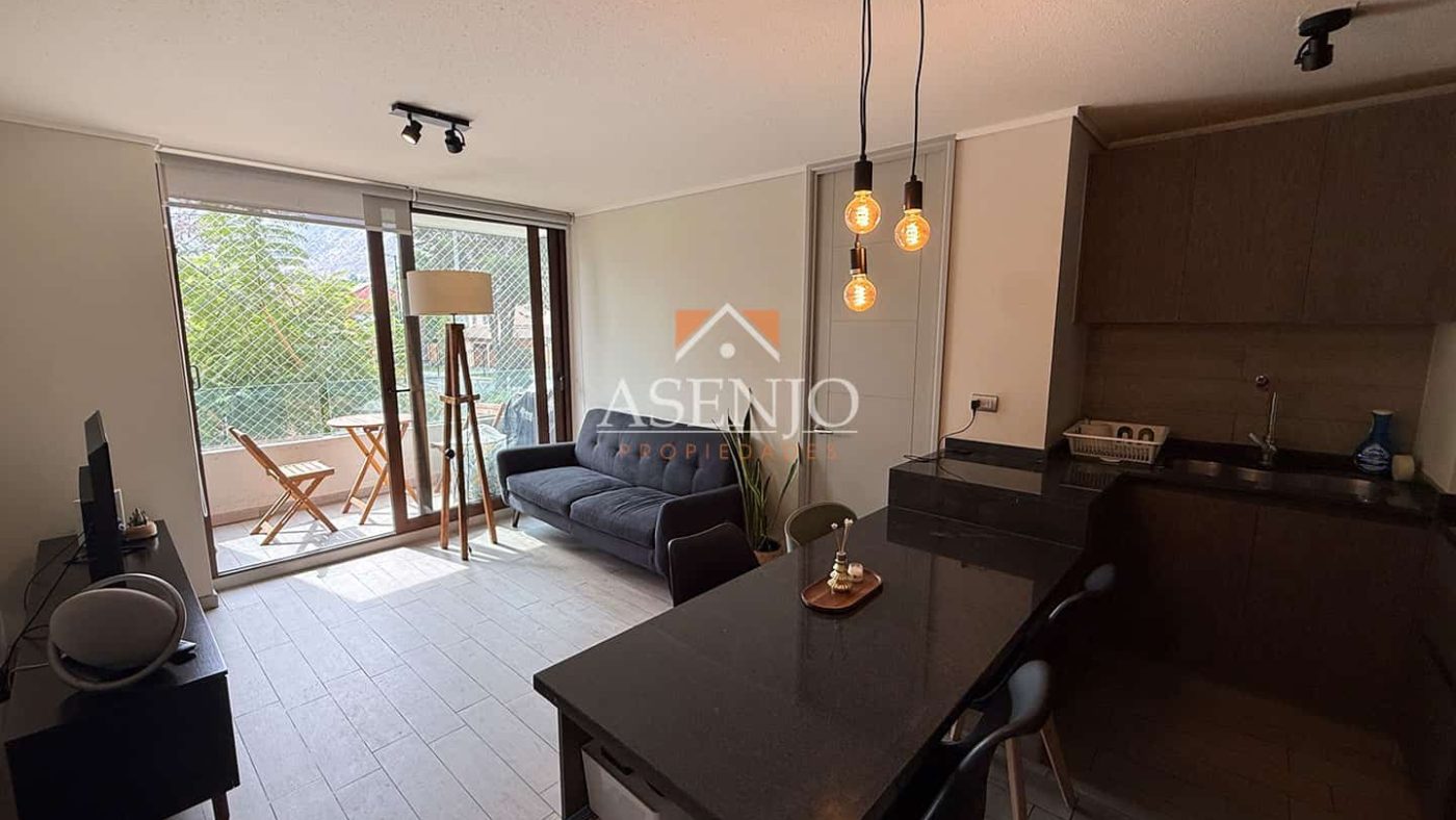 GUANACO NORTE / HUECHURABA