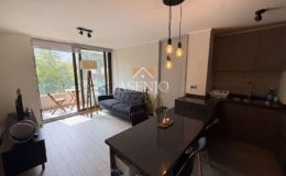 GUANACO NORTE / HUECHURABA