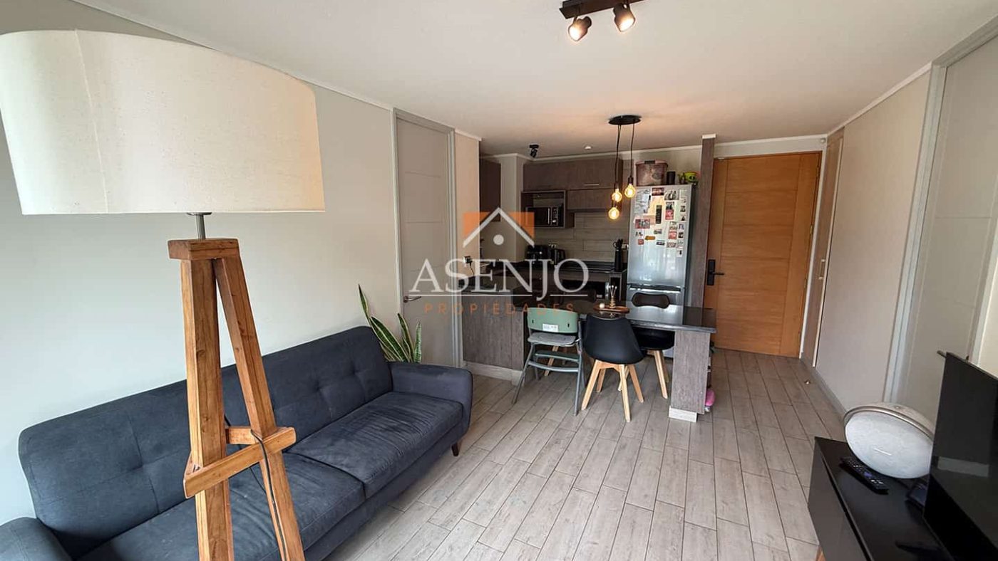 GUANACO NORTE / HUECHURABA