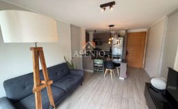 GUANACO NORTE / HUECHURABA