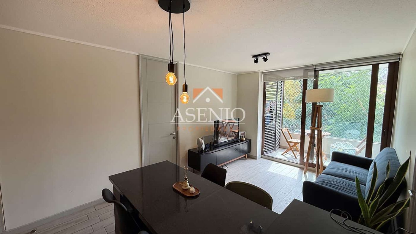 GUANACO NORTE / HUECHURABA