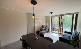 GUANACO NORTE / HUECHURABA