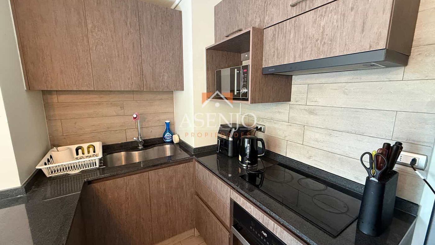 GUANACO NORTE / HUECHURABA