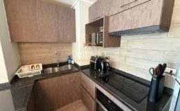 GUANACO NORTE / HUECHURABA