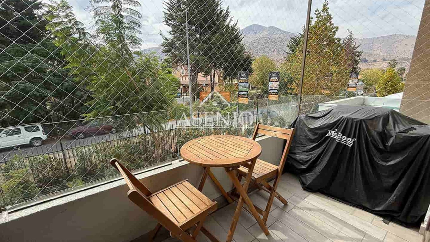 GUANACO NORTE / HUECHURABA