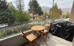 GUANACO NORTE / HUECHURABA