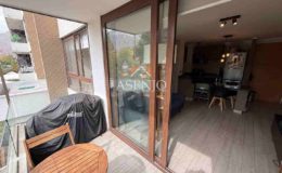 GUANACO NORTE / HUECHURABA