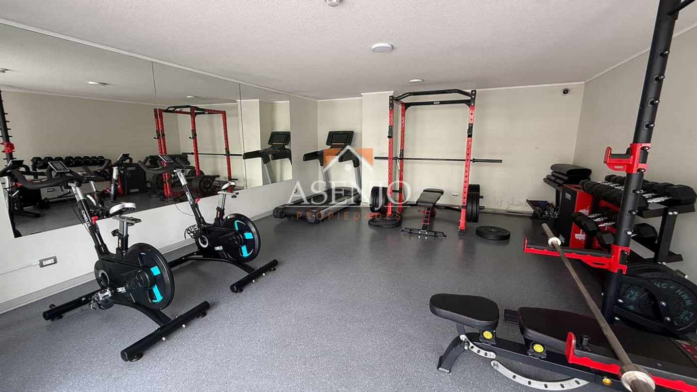 GUANACO NORTE / HUECHURABA