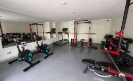 GUANACO NORTE / HUECHURABA